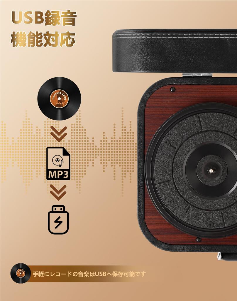 VOKSUN Record Bluetooth Transmission and USB Connects to External Compatible with RPM and Inch Japanese Instruction 2 Year S300 Player, Reception,