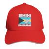 Bimini Bahamas Hammerhead Shark Baseball Cap Sunscreen Anime Hat Custom Cap Snap Back Hat Elegant Womens Hats Unisexs