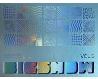 Big Bang - 2010 Концертный альбом Big Show Vol.5 (Корейское издание) - Модель YG-BIGSHOW2010