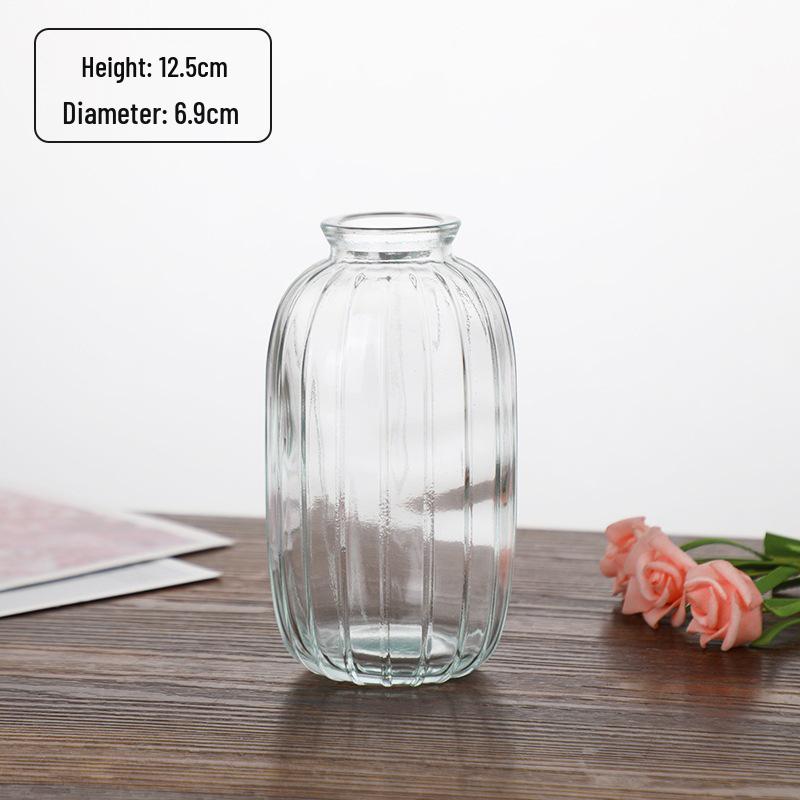 Small French Retro Glass Hydroponic Vase for Home Decor