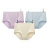 Beneunder 311S Women's High-Waist Cotton Briefs 3-Pack