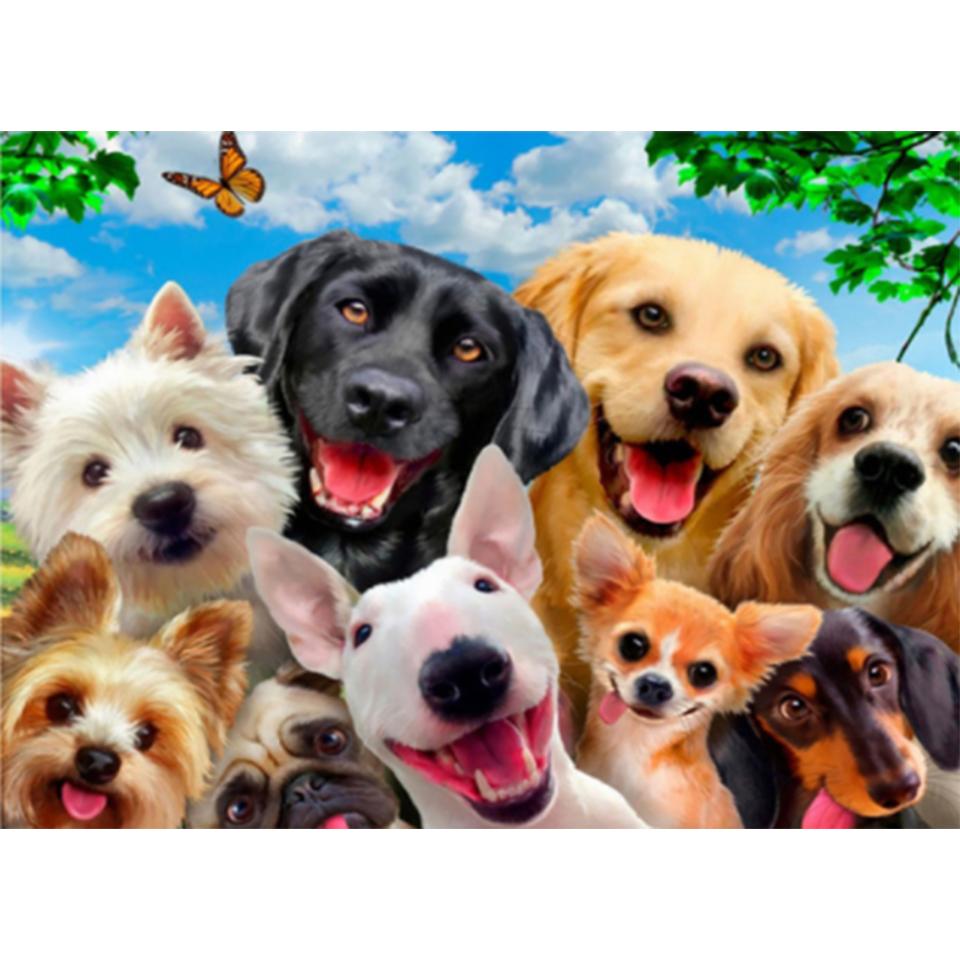 5D DIY алмазная живопись животное кошка собака набор для вышивки крестом полный круглый алмаз вышитая мозаика художественная картина украшение со стразами