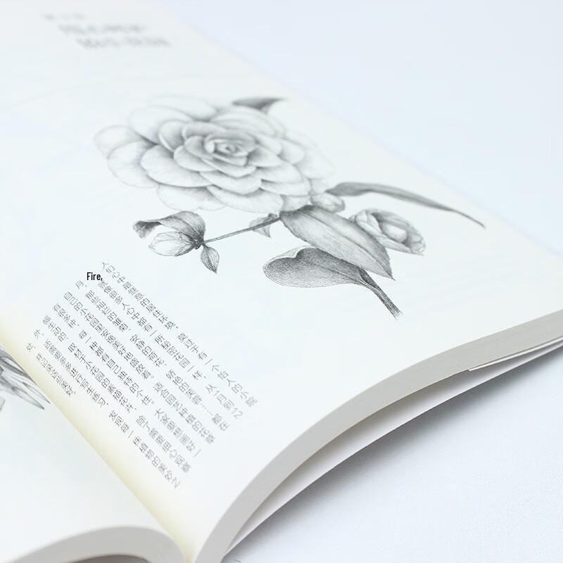 Цветы, нарисованные карандашом: 100 примеров