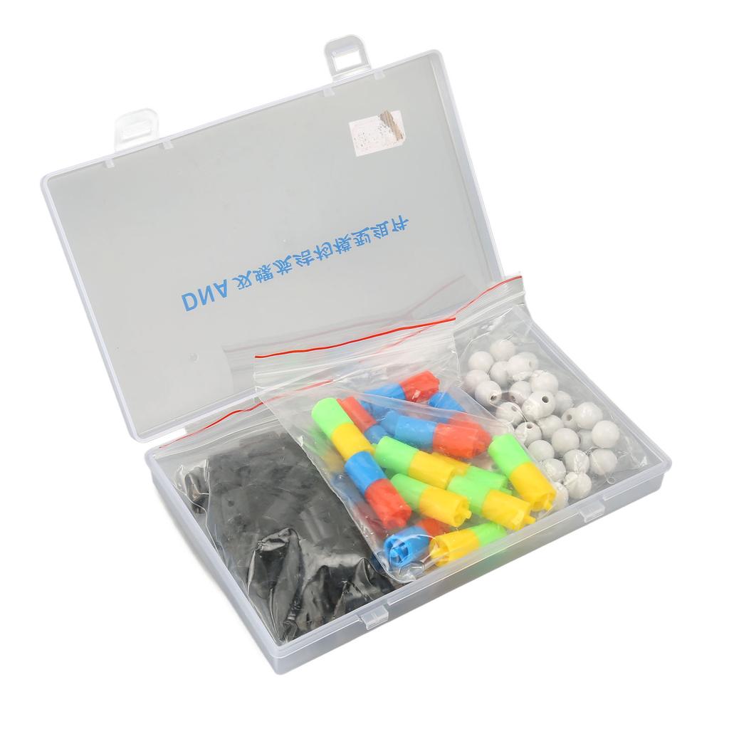 Модели структуры двойной спирали ДНК Образовательный комплект моделей двойной спирали ДНК Биологическая наука Популярный