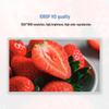 Wan'ao 43-inch Interactive Touchscreen Kiosk (CN version)