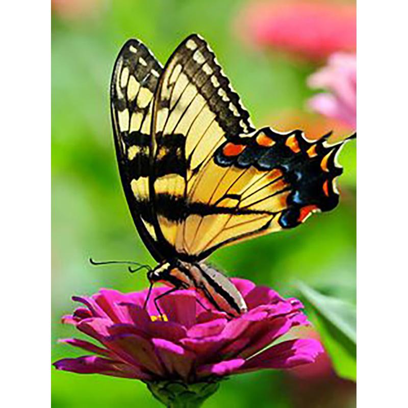 DIY Бабочка 5D алмазная живопись наборы для вышивки крестом полная круглая дрель Алмазная кристаллическая мозаика Подарочные наборы для вышивания настенное искусство