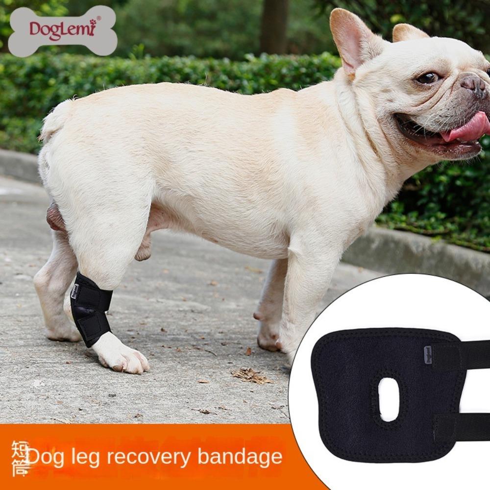 Arthritis Protector Cover Dogs Hock Joint Brace Dog Leg Support Pet Knee Pads Dogs Injury Recovery