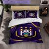 Anderlecht FC Themed Bedding 3Pcs Duvet Cover Set Decorative Bed Linen For Teen Room Home Decoration