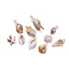 10/20Pcs/Lot Mix Acrylic Shell Conch Starfish Charm Pendants for DIY Women Earring Bracelet Necklace Jewelry Making Accessories