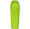 Спальный мешок Sea To Summit Ascent AcI Reg (STS AAC1-R)