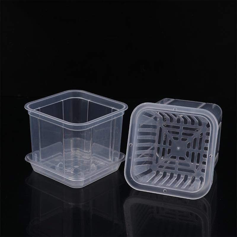 10 см квадратный корневой контроль прозрачный цветочный горшок для орхидеи фаленопсис каттлея посадка с устьичным цветочным горшком домашний декор