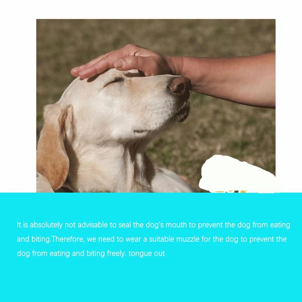 Adjustable Aggressive Dog Short Snout Biting Chewing Face Mesh Pet Dog Muzzle French Bulldog