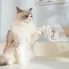 Pet Grooming Glove Cats Dogs - Disposable Wet Wipe Mitt No-Rinse Cleaning Massage Tool 2pcs Per Pack