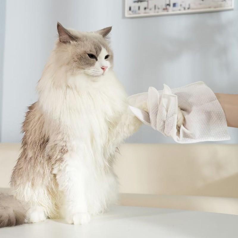 Pet Grooming Glove Cats Dogs - Disposable Wet Wipe Mitt No-Rinse Cleaning Massage Tool 2pcs Per Pack