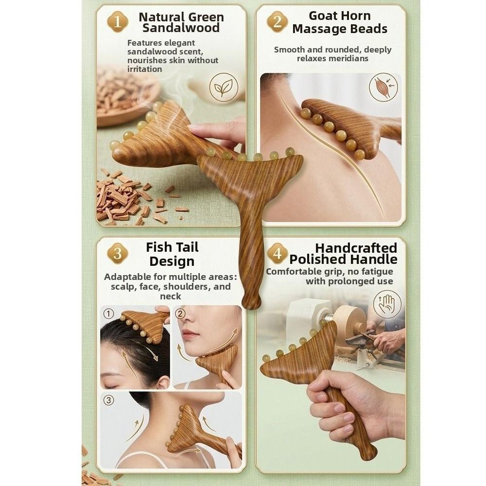 Sandalwood Meridians Massage Comb Copper/Horn Balls Lymphatic Drainage Massager  Breast Massage