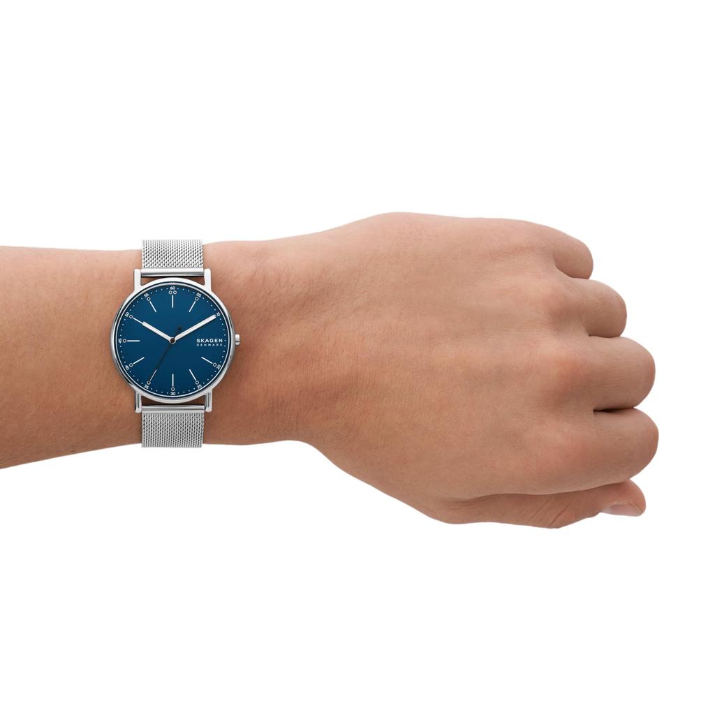 Часы SIGNATUR SKW6904 Серебристые [Skagen] Мужские