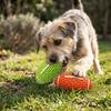 Bite Tough Squeaky Rugby Ball Rubber Dog Molar Toy Pet Training Toy  Teeth Grinding Clean