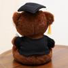 Stuffed Soft Graduation Bear Doll 25cm Sitting Bear Doll New Plush Dr. Bear  Graduation Gift