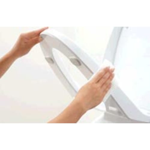 LIXIL INAX Warm Water Wash Heated Toilet Seat Shower Toilet Seat Type D Series Off White CW-D11/BN8