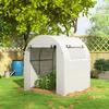 Walk in Polytunnel Greenhouse, Green House for Garden with Roll-up Window and Door, 1.8 x 1.8 x 2 m, White