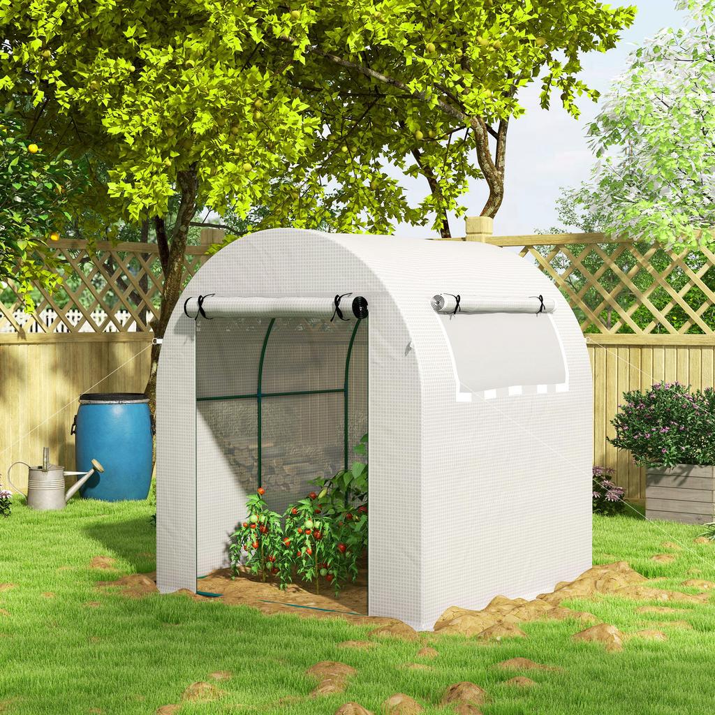 Walk in Polytunnel Greenhouse, Green House for Garden with Roll-up Window and Door, 1.8 x 1.8 x 2 m, White