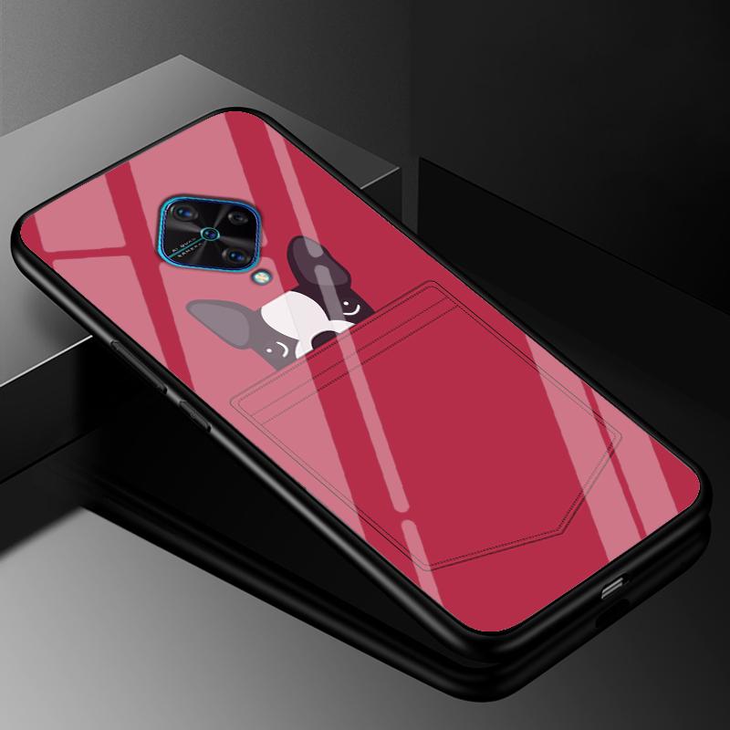 Tempered Glass Case For Vivo V17 Case Russia Glass Back Cover Soft Bumper For Vivo V17 Phone Cases V 17 Funda Y9s S1 Pro Coque