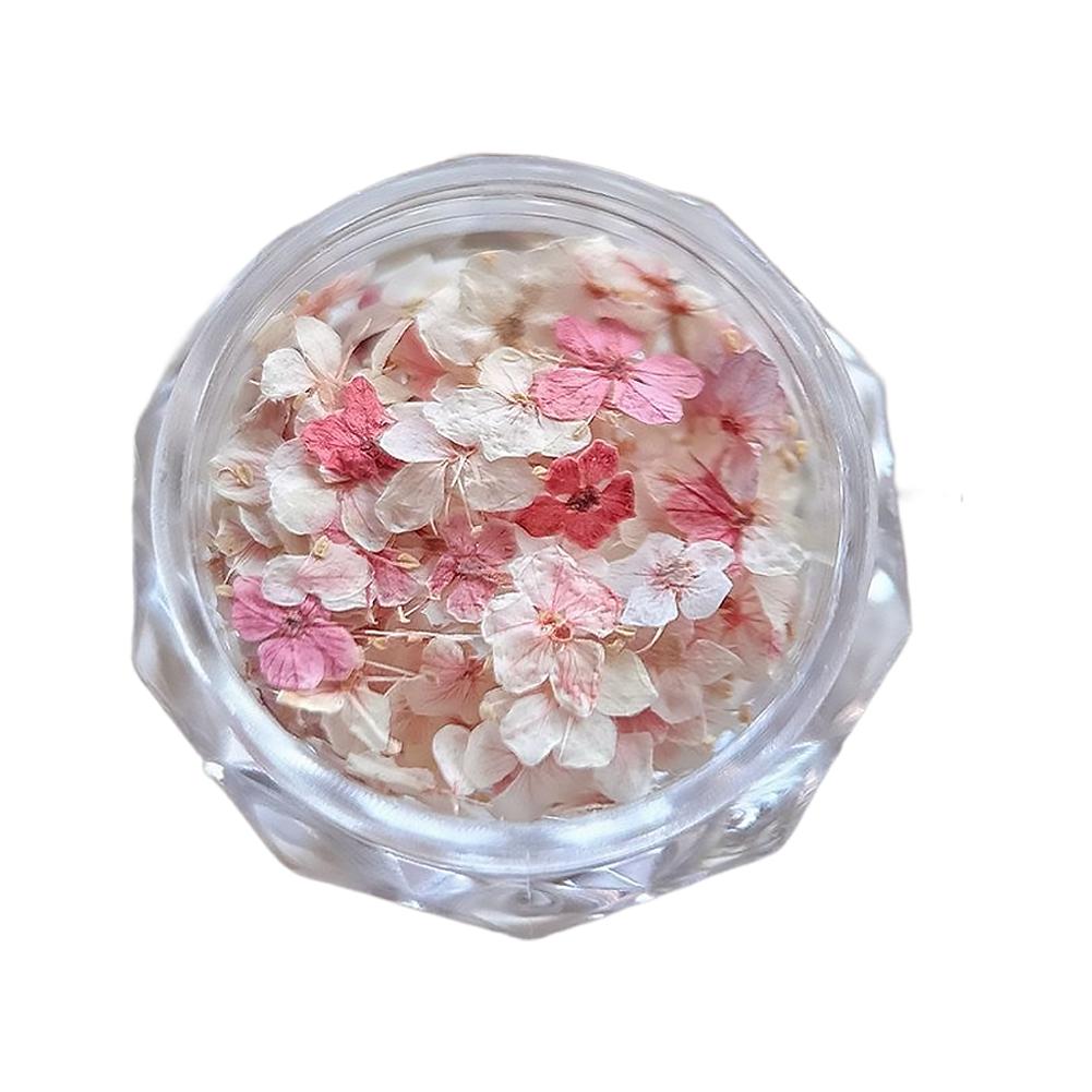 Dried Flower Materials For Nail Romantic Monet Garden Color Palette Vibrant Accessories Wildflower Nail Art Decorations Tools