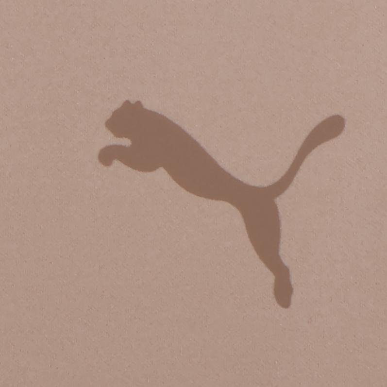 Puma Moozin Натуральные Вязаные Простые Свободные Дышащие Повседневные Шорты Мужские шорты 637337-83