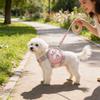 Pet Backpack Leash For Small Dogs And Cats With Non Extendable Design For Daily Walks