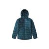Arcteryx Cerium Hoody 18013