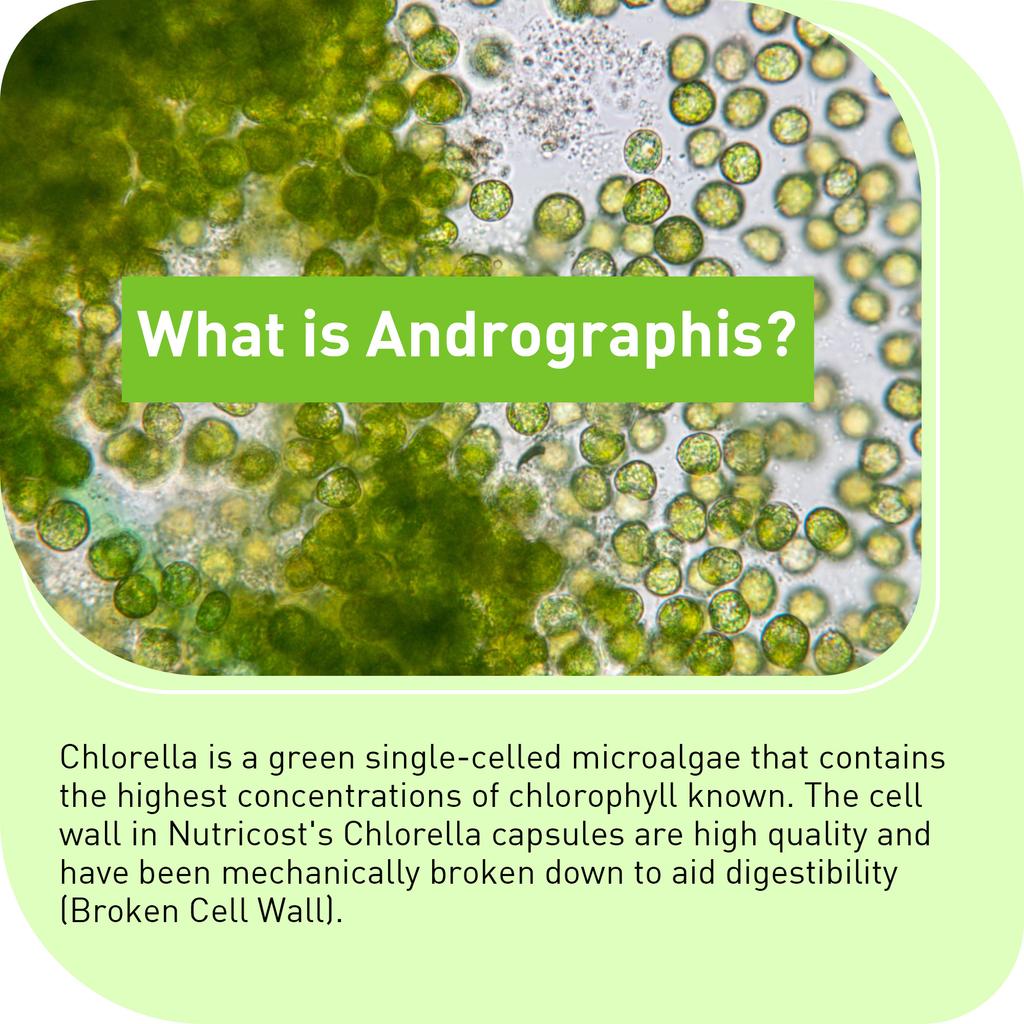 Chlorella Extract Capsules, 10:1 High Concentration 1000mg Algae Extract, Nutritional Supplement