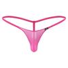 Mens T-Back Lingerie Thong Breathable Mesh Underwear Bikini Swimming Briefs