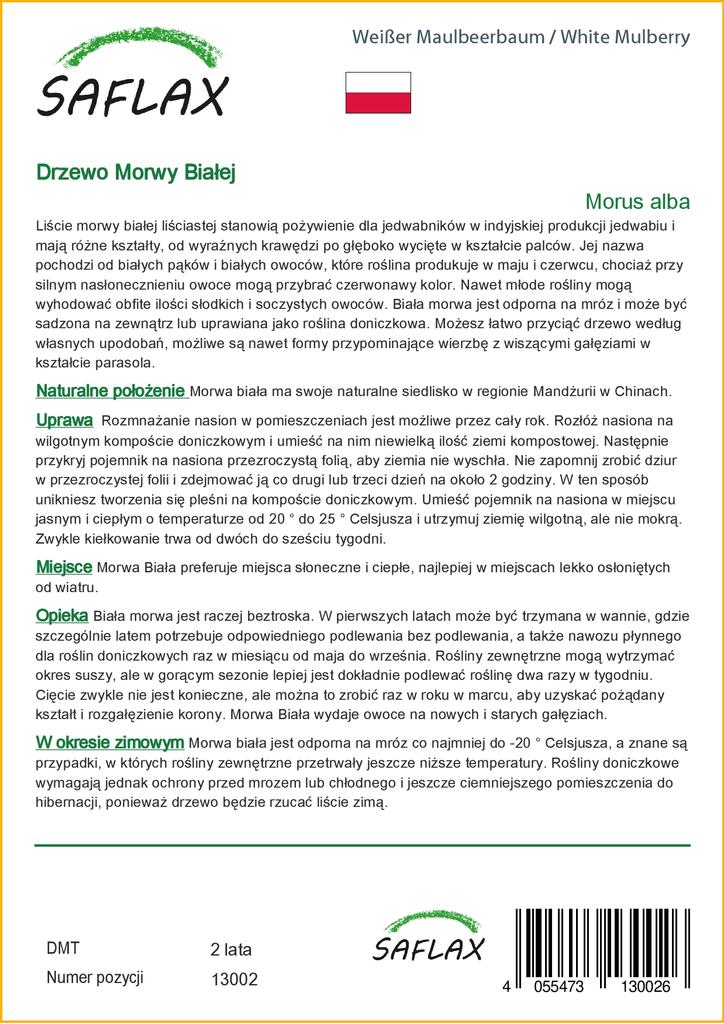 SAFLAX Шелковица белая - 200 семян - Morus alba