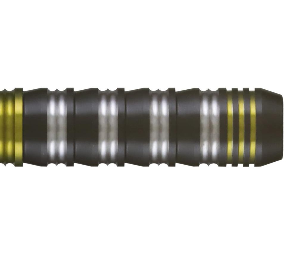 Dynasty ARCTIC LOPE PRO Han Woong Hee Player Model ARCTIC LOPE PRO Darts 2BA Barrel [Dynasty] A-FLOW (A-FLOW Tungsten90%) 21.0g