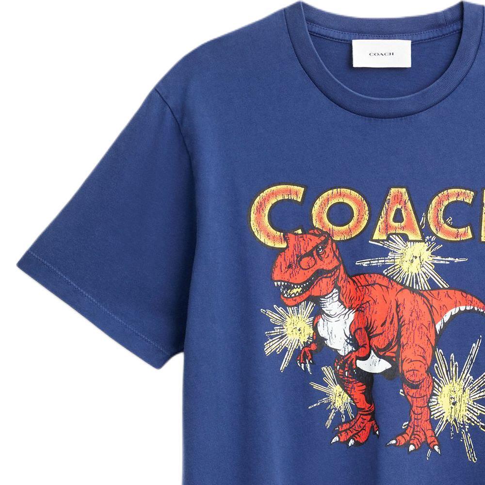 Coach FW25 Футболка мужская из стиранного хлопка с принтом динозавров, с круглым вырезом и короткими рукавами CCV60-P0R