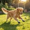 4PCS Breathable Pet Floor Socks Waterproof Pet Paw Protector Non-slip Dog Shoes  Paw Protection