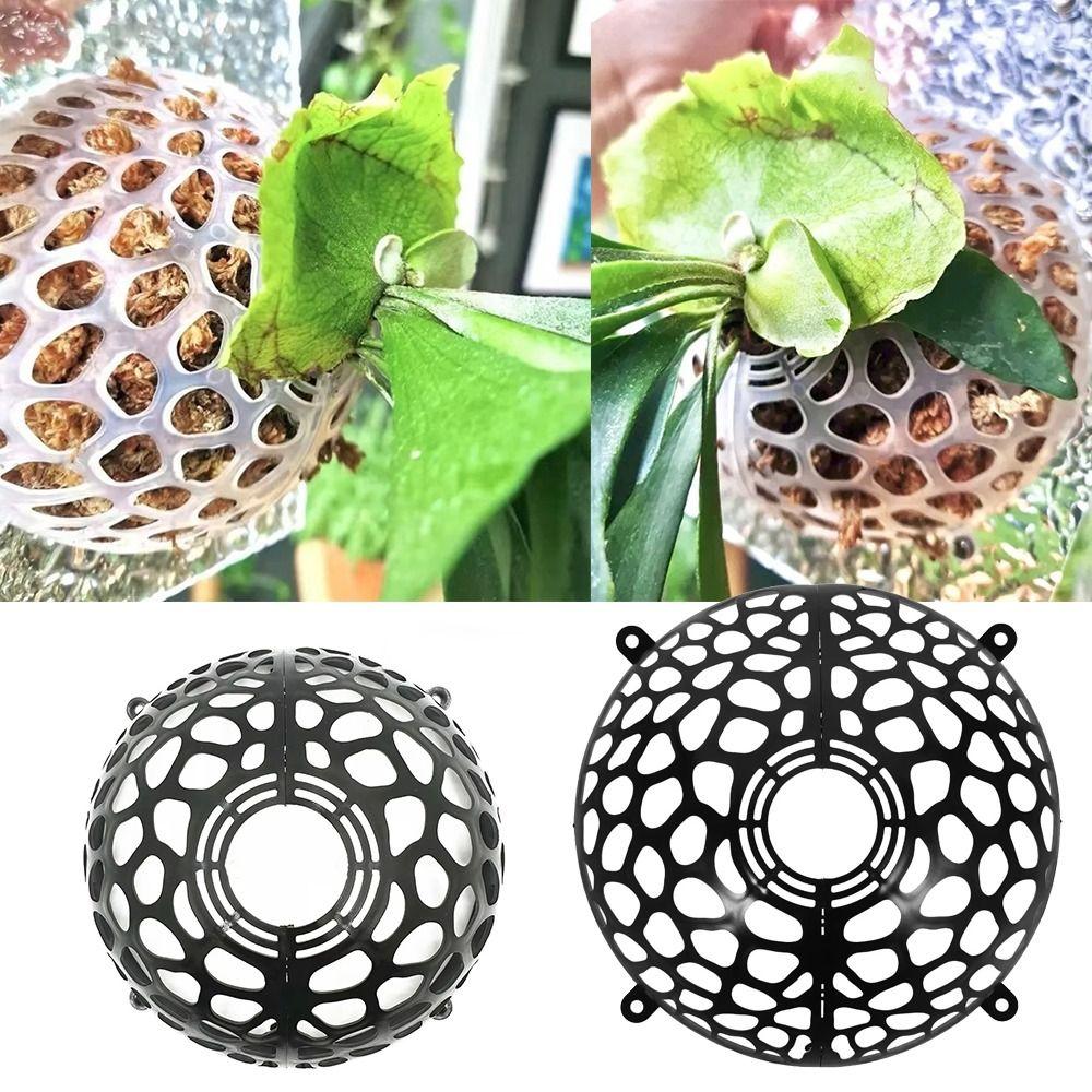 Transparent Plants Soil Protector Cover Reusable Plastic Planting Cover for Flower Lovers