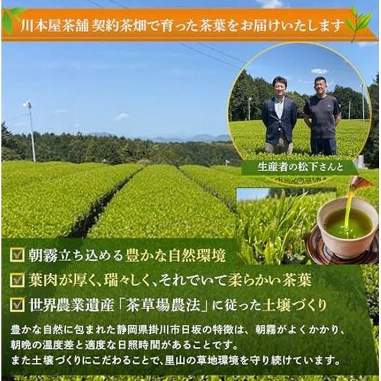Kawamotoya Chaho Gift Set Binchotan Charcoal Roasted Shizuoka Tea Deep Steamed Method Kakegawa Premium Japanese 2 Types Bamboo Basket Wrapped (Blue