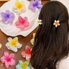 Заколка для волос с цветком Гавайев для девочек, красочные заколки для волос в форме яйца в форме цветка, когти для волос, акриловые заколки для хвоста, аксессуары для волос для свадебной вечеринки