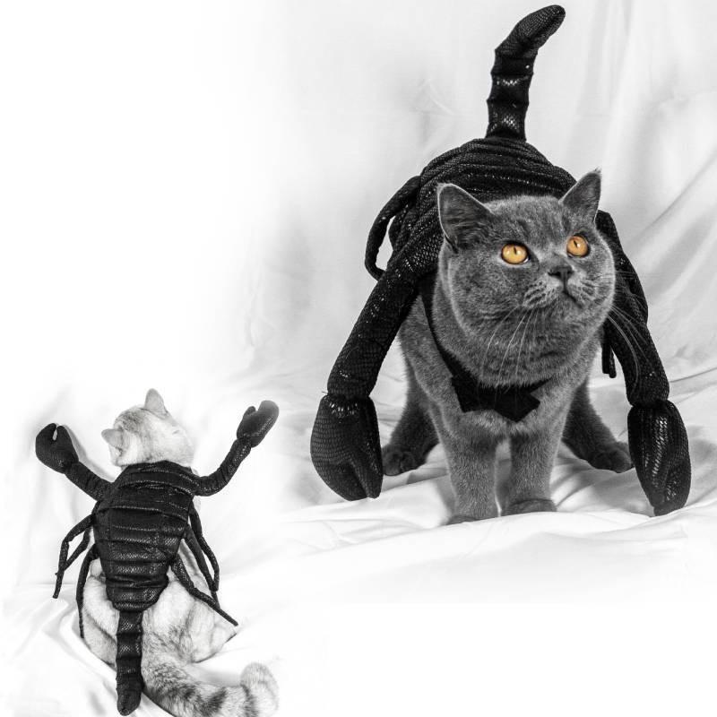 Unique Halloween Pet Costume Funny Scorpion King Outfit For Cats And Dogs Black Cloth