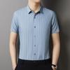 Men's Shirt Summer Short Sleeve Fashion Youth Korean Trendy Men's Clothing Polo Collar Top