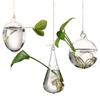 Creative Home Decoration Garden Supplies Hanging Glass Plant Pot Terrarium Container Glass Vase