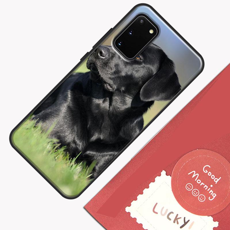 Black labrador retriever Animal Dog Phone Case For Samsung Galaxy S26 S25 S24 S20 S21 S22 S23 Ultra S10 Plus S25 FE Cover Shell