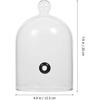 Cabilock Glass Cloche Dome Cover Lid for Plates Bowls and Glasses Infuser Infusion Accessories Dishes Cover Style 2