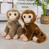 Simulated Little Monkey Doll Plush Toy Golden Monkey Big-Eyed Monkey Doll Children'S Soothing Rag Doll Birthday Gift