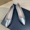 Модные балетки для женщин 2025 Весна и Осень Новые Серебристые Женские Туфли Остроносые Большие Размеры Повседневные Женские Туфли