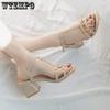 Sandals for Women Summer Versatile Fashion Thick Heel Mid Heel Straight Strap High-heeled Sandals