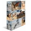 Herma Animals Motif File A4 (Horses)