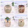 New Indoor Owl Shape Succulent Pot Mini Ceramic Flower Pot