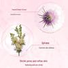 Clarins Youth Activating Brightening Essence Water